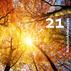 21 - AutumnAmbiences - November 2021