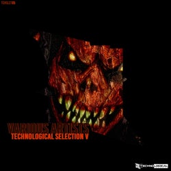 TECHNOLOGICAL SELECTION 05
