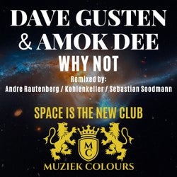 Why Not (Space Is The New Club)