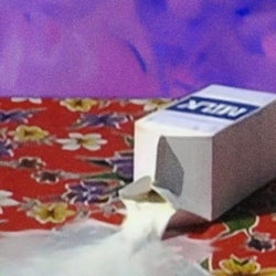the inner machinations of my mind are an enigma