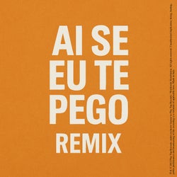 Ai Se Eu Te Pego (Remix)