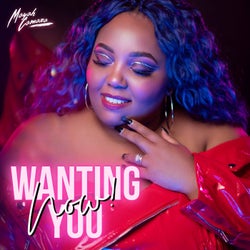 Wanting You Now (Instrumental)