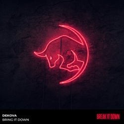 Bring It Down (Extended Mix)