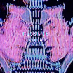 Pussh It
