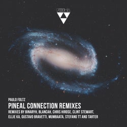 Pineal Connection Remixes