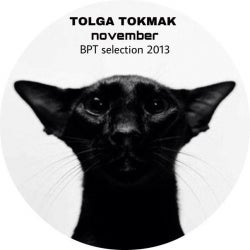 TOLGA TOKMAK (TR) November 2013 BPT Selection