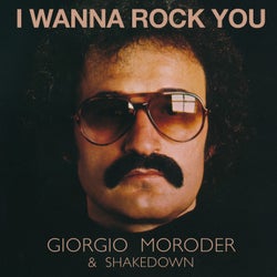 I Wanna Rock You (Shakedown Remixes)