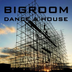Bigroom Dance & House
