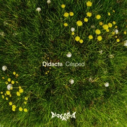 Cesped