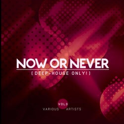 Now Or Never, Vol. 3 (Deep-House ONLY!)