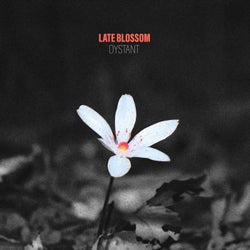 Late Blossom