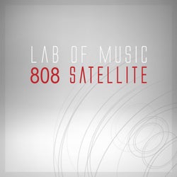 808 Satellite