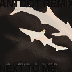Next To Me - Antdot Remix
