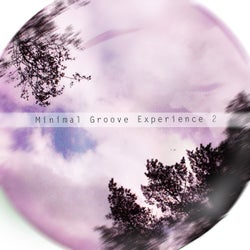Minimal Groove Experience 2