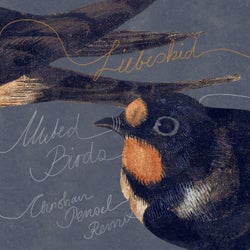 Muted Birds (Christian Pensel Remix)