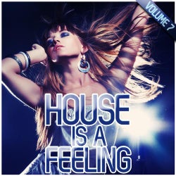 House Is A Feeling Vol. 7