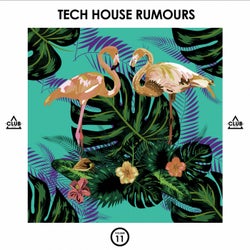 Tech House Rumours, Vol. 11