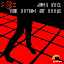 Just Feel The Rhythm Of House