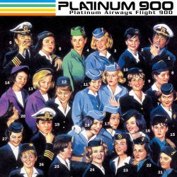 Platinum Airways Flight 900