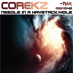 Needle In A Haystack/Hole