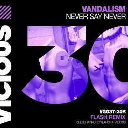 Never Say Never - Flash Remix