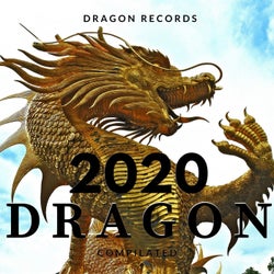 2020 Dragon Compilated