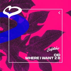 Where I Want 2 B (Extended Mix)