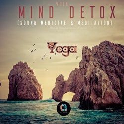 Mind Detox (Sound Medicine & Meditation), Vol.6