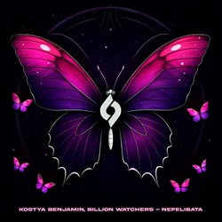 Nefelibata