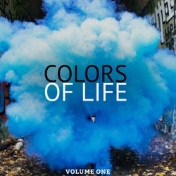 Colors of Life, Vol. 1 (Best of Urban House Music)