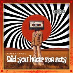 Did You Hear Me Say (Arawakan Jackin Mix)