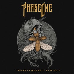 TRANSCENDENCY Remixes