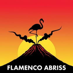 Flamenco Abriss