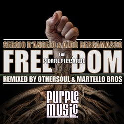 Freedom (Feat. Pierre Piccarde)