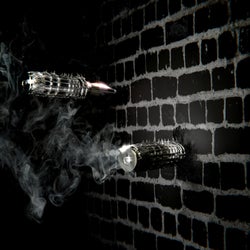 2SHOTS