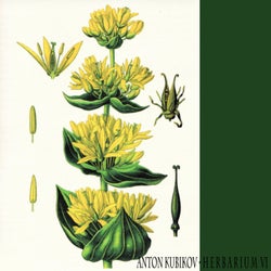 Herbarium part six