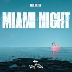 Miami Night