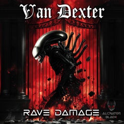 Rave Damage
