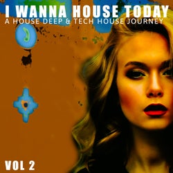 I Wanna House Today!, Vol. 2