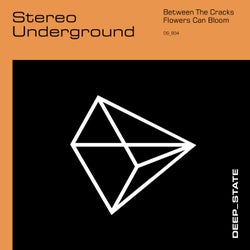 Stereo Underground