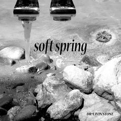 Soft Spring