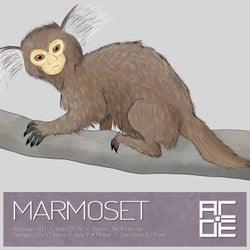 Marmoset