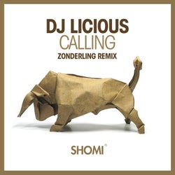 Calling - Zonderling Remix