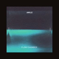 Flow Chamber