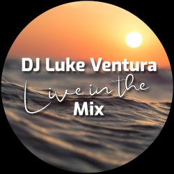 DJ LUKE VENTURA - FUNKY HOUSE #19