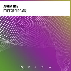 Echoes in the Dark