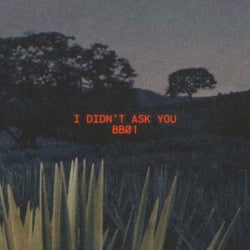 I Didn't Ask You