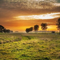 Tiet vur een lied