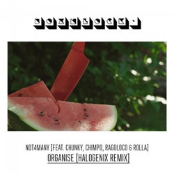Organise (Halogenix Remix)