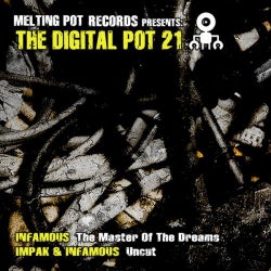 The Digital Pot 21